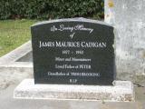image of grave number 285003
